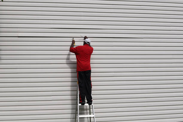 Best Aluminum Siding Installation  in Breckenridge Hills, MO